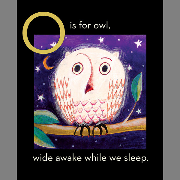 Set O: ABC book with Snowy Owl Luminette nightlight - SOLD OUT