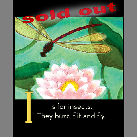 Set I: ABC Book + Dragonfly Luminette nightlight - SOLD OUT