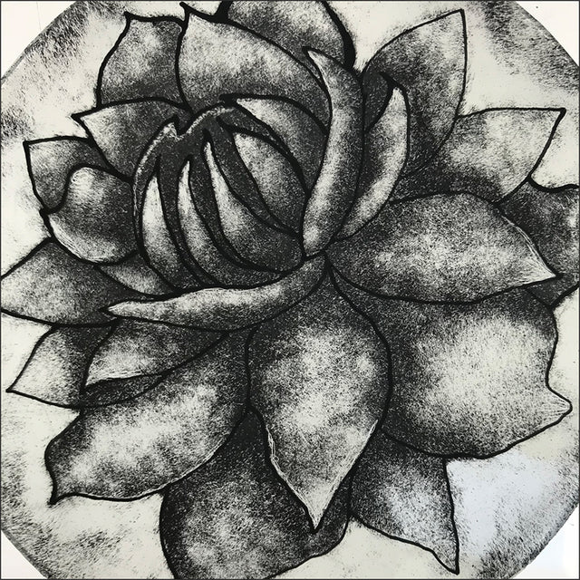 close up of black and white dahlia image