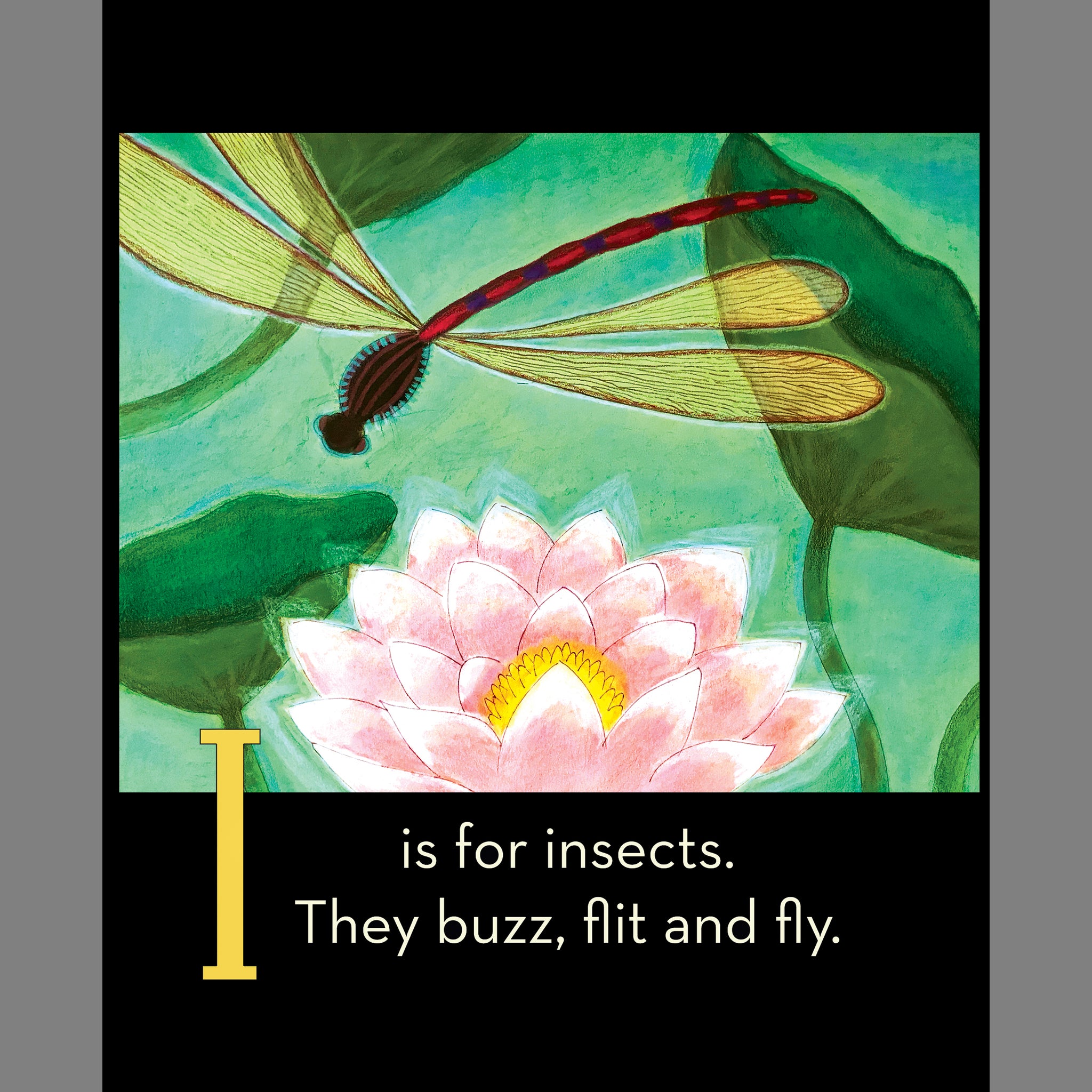 Set I: ABC Book + Dragonfly Luminette nightlight